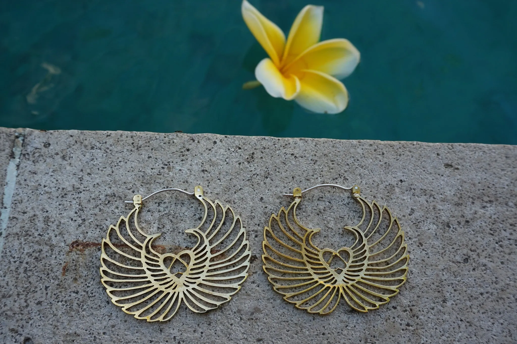 Wings of love earrings - brass
