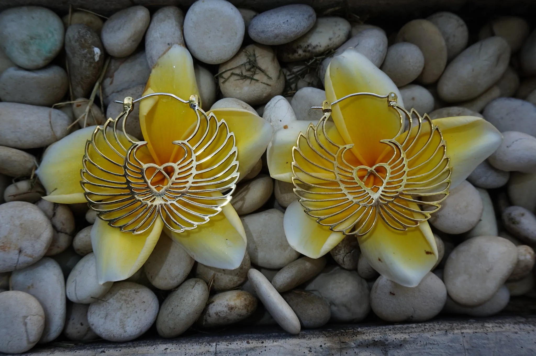 Wings of love earrings - brass